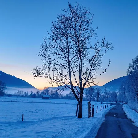 Alpine Near Kaprun