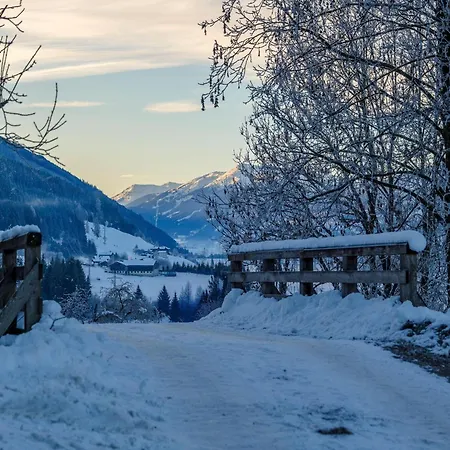Apartment Alpine Near Kaprun *