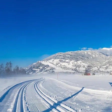 Apartment Alpine Near Kaprun Piesendorf